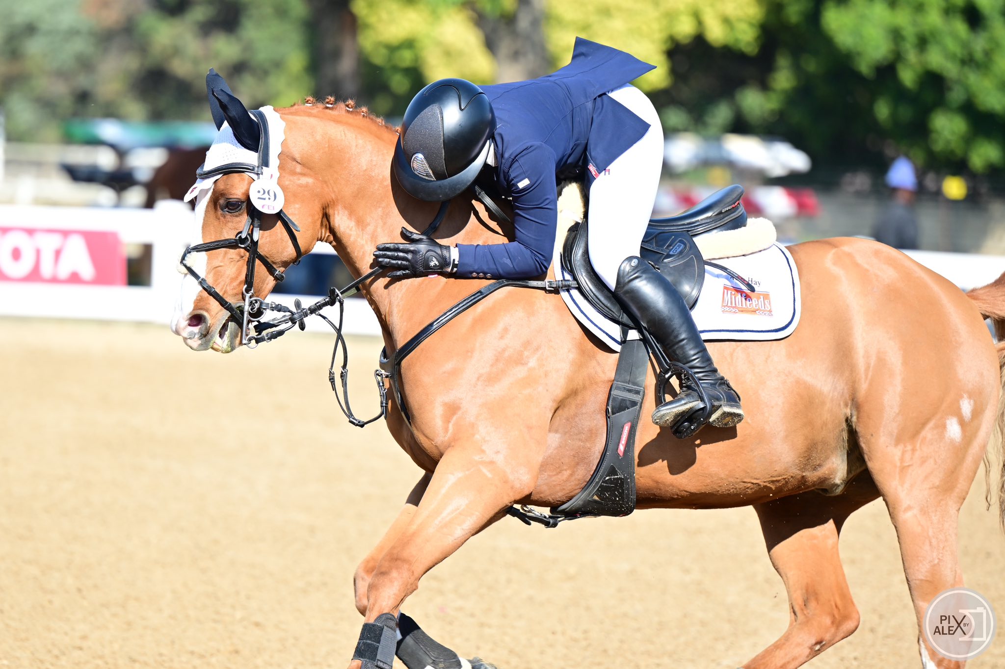 499649286_1199468955523532_4247581653414518369_n